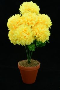 Yellow Carnation-Mum Bush x7  (Lot of 1) SALE ITEM